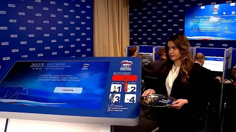 Электронное предварительное 2025. Электронное предварительное голосование. скрин предварительного голосования 2025. дистанционное электронное голосование 2025.