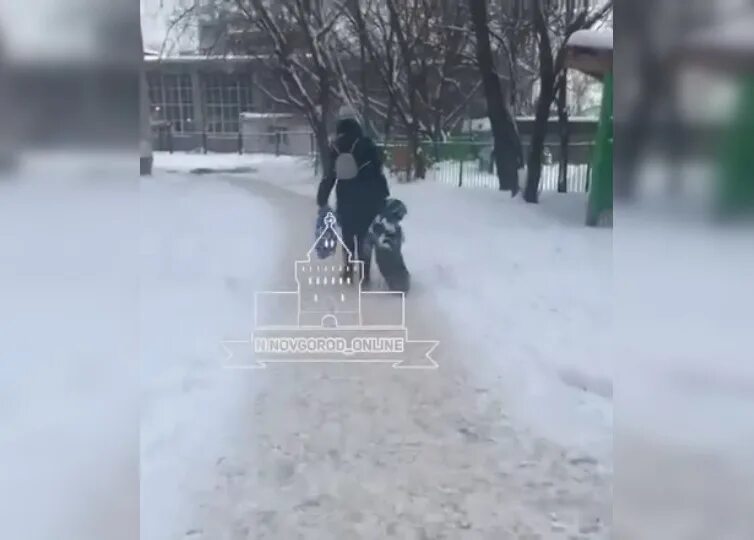 Крокус сити видео где ребенок тащит отца. Утащило ребенка в снег. Мама тащит ребенка волоком. Hсбил детей в Нижнем Новгороде. Тащит ребенка за капюшон.