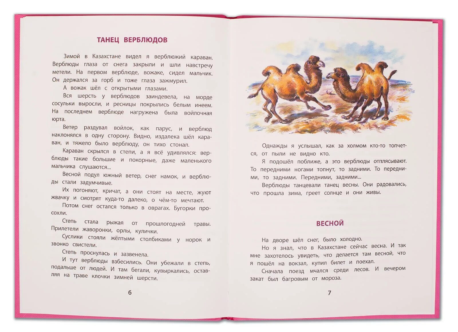 Снегирева. Снегирев танец верблюдов. Верблюжья варежка снегирев. Снегирев танец верблюдов. Иллюстрации заповедников.