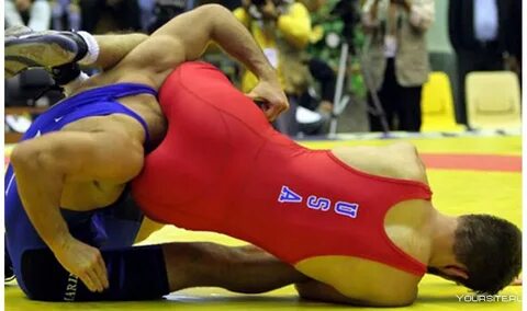 Funny wrestling pictures