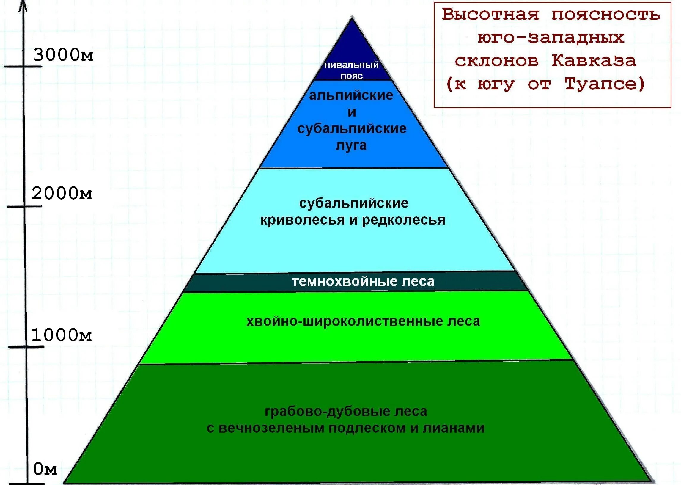 На какой высоте расположен субальпийский пояс кавказ. Высотная поясность Юго западных склонов Кавказа. Высотная поясность кавказских гор схема. Схема ВЫСОТНОЙ поясности Кавказа. Высотная зональность гор Кавказа.
