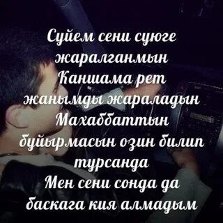 Текст песни сени суйем на казахском