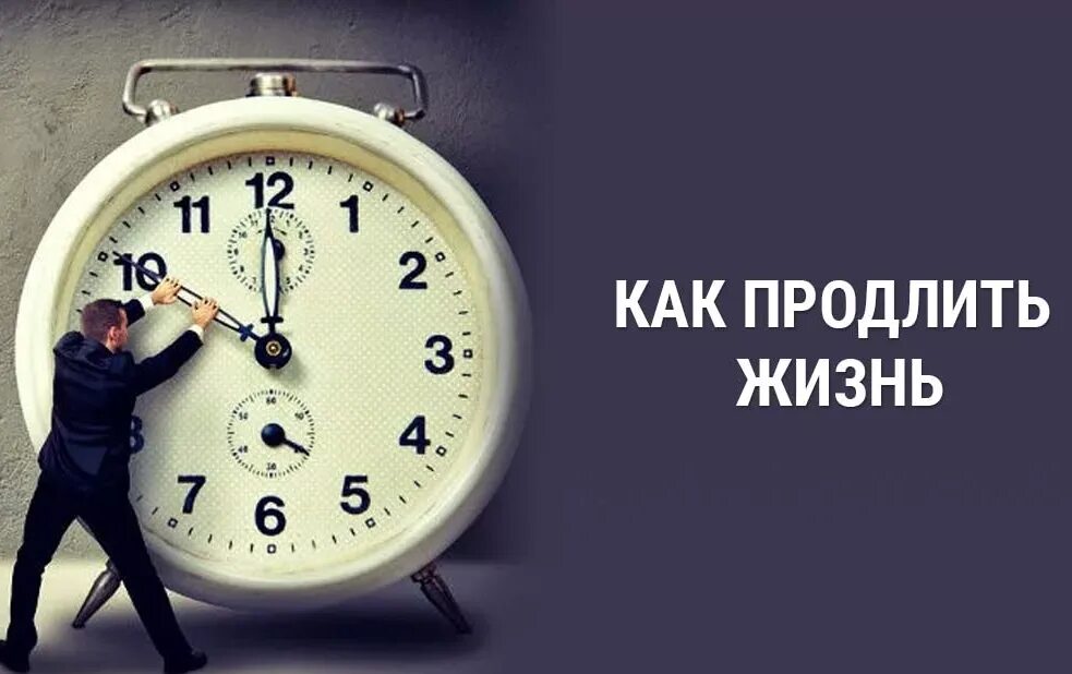 Продлить жизнь. Продление жизни человека. Что продлевает жизнь. Способы продления жизни человека.