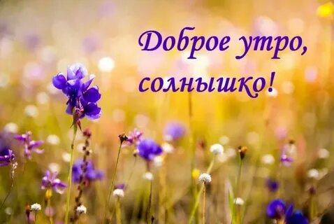 С добрым утром солнце песня