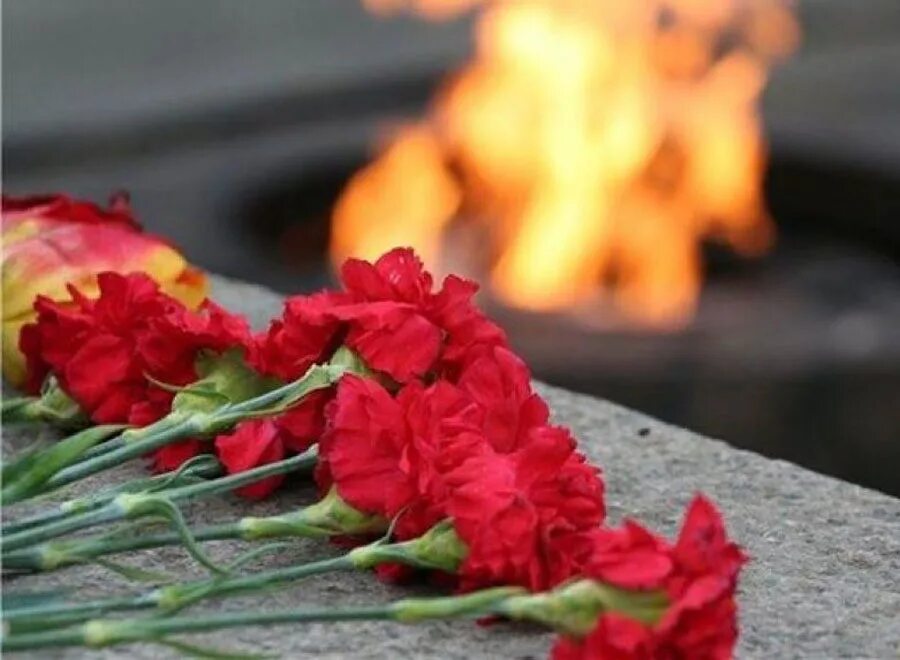 День памяти жертв второй мировой войны. Гвоздики у вечного огня. Цветы у вечного огня. Гвоздики красные у вечного огня.