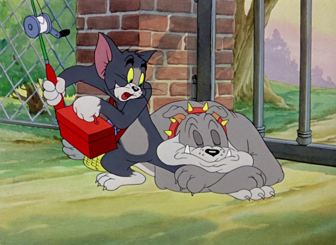 Tom and jerry 55. Том и Джерри. Том и Джерри 1953. Приключения Тома и Джерри 2008.