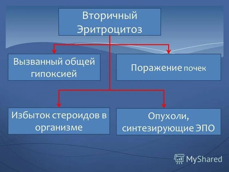 Вторичный абсолютный эритроцитоз заболевания. Симптоматический эритроцитоз. Симптоматический эритроцитоз. Симптоматический эритроцитоз. Вторичный эритроцитоз код.