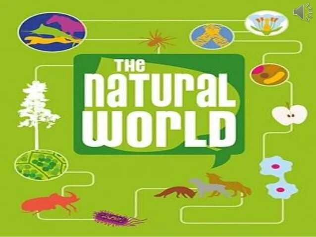 The natural world 8