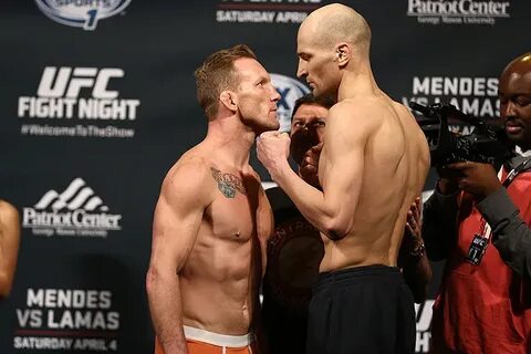 Fight 24