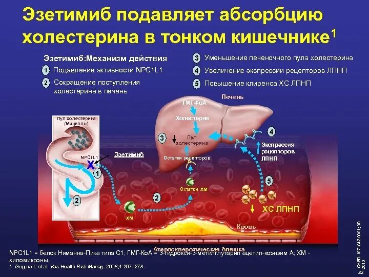 Эзетемиб отзывы