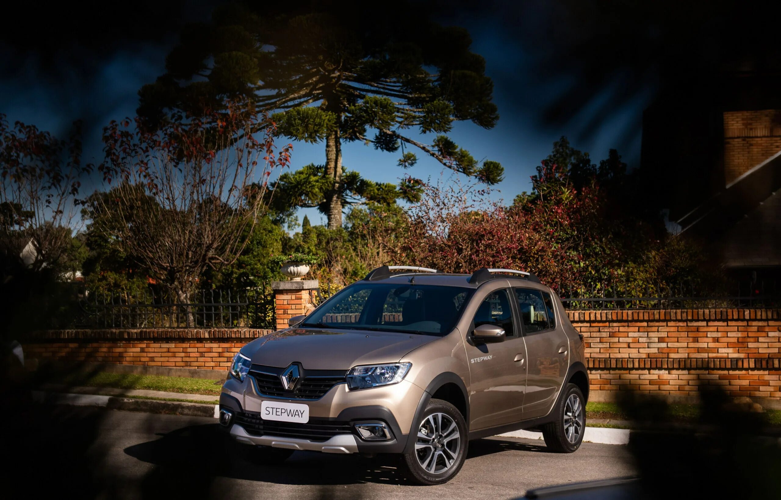 Sandero stepway 2021. Renault Sandero Stepway 2021. Рено Сандеро степвей 2019. Renault Sandero Stepway 2020. Renault Sandero Stepway 2019.