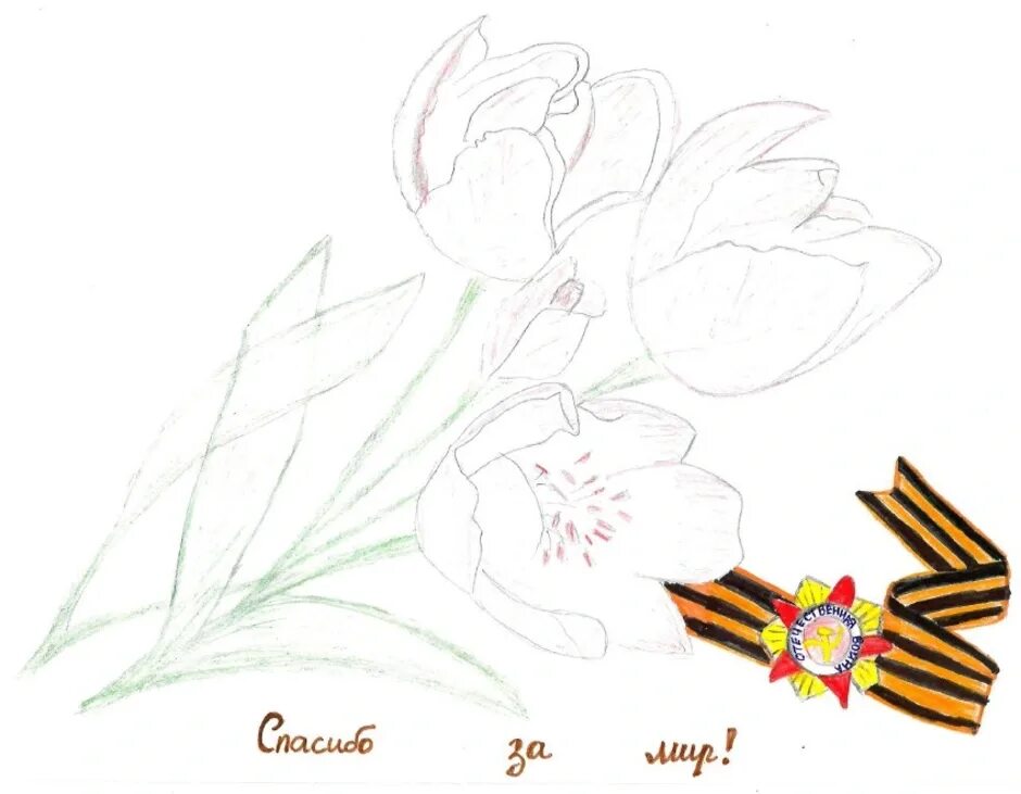 Гвоздика рисунок карандашом 9 мая. Цветы победы рисование. цветы победы рисунок. рисуем победу. цветы победы карандашом.