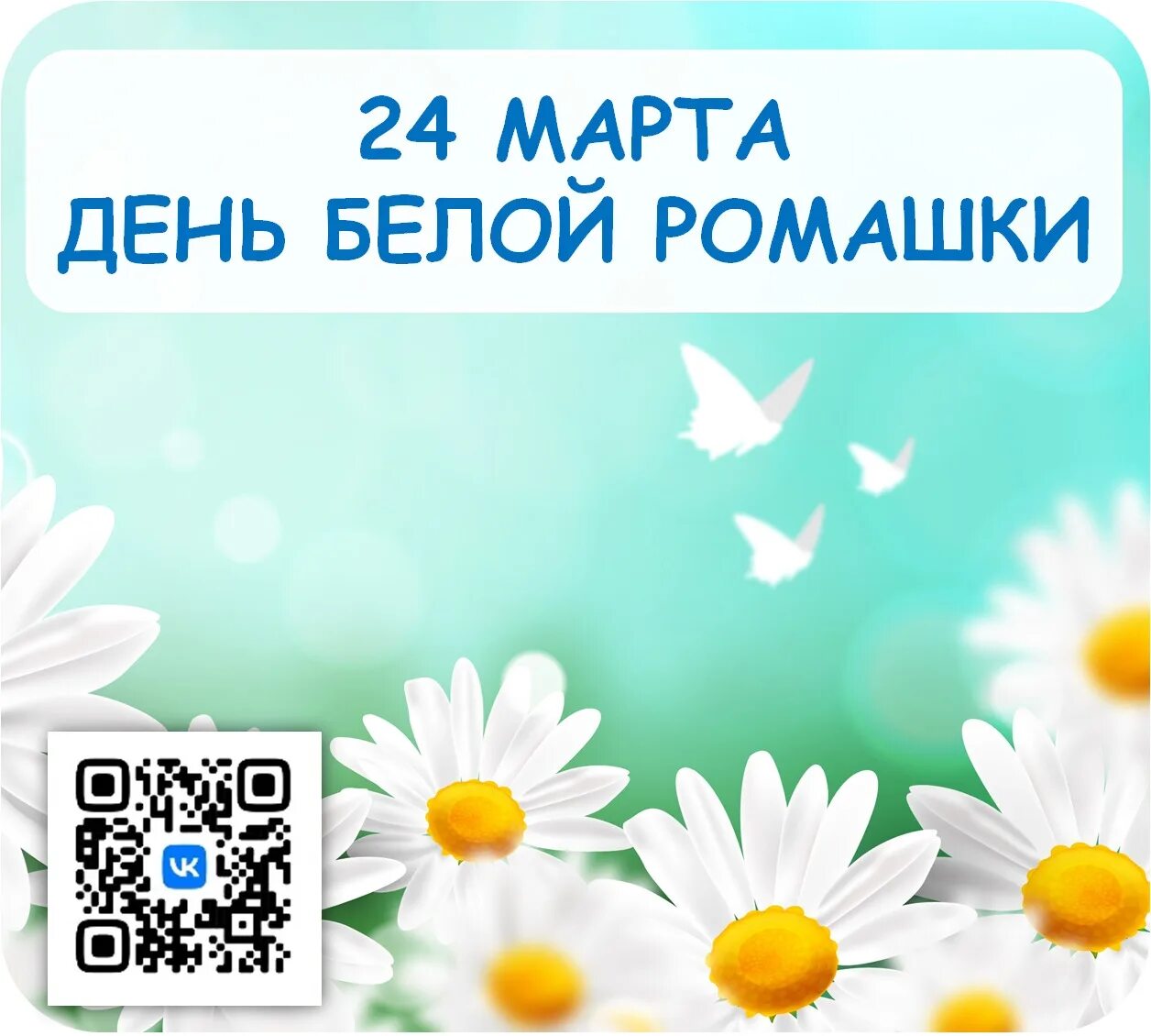 День белой ромашки в екатеринодаре. День белой ромашки в екатеринодаре. День белой ромашки. Дно белой ромашки. Плакат с ромашками.