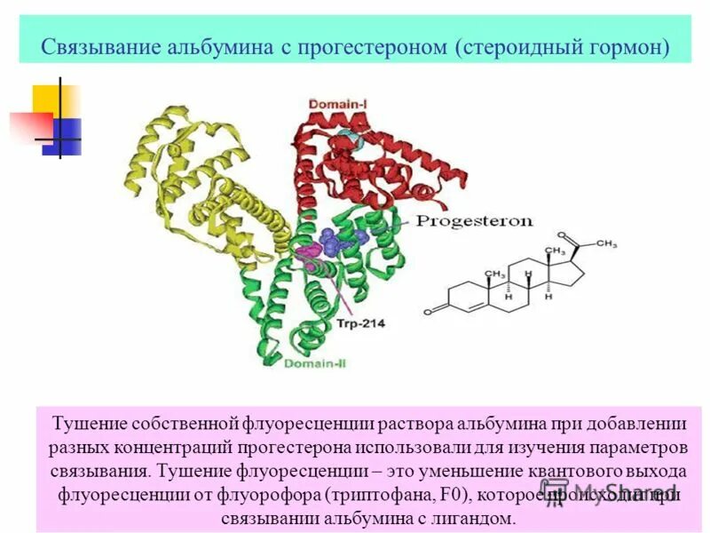 Альбумин сыворотки крови. Сывороточный альбумин строение. Структура белка альбумин глобулин. Бычий сывороточный альбумин структура. Человеческий сывороточный альбумин формула.