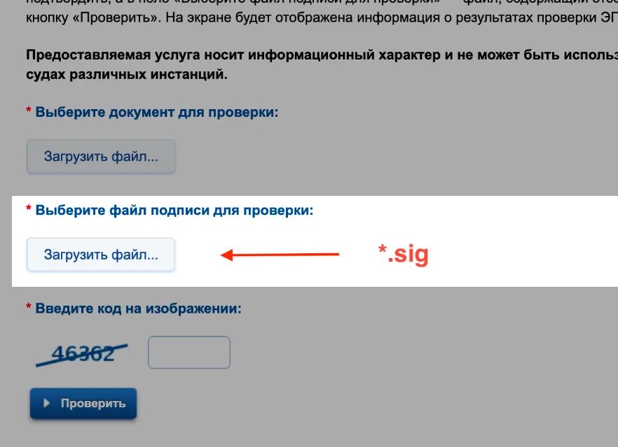 Проверить цифровой пропуск. Как проверить код цифрового пропуска. Проверить пропуск в Москву. Проверить. Пропуск москва по гос номеру