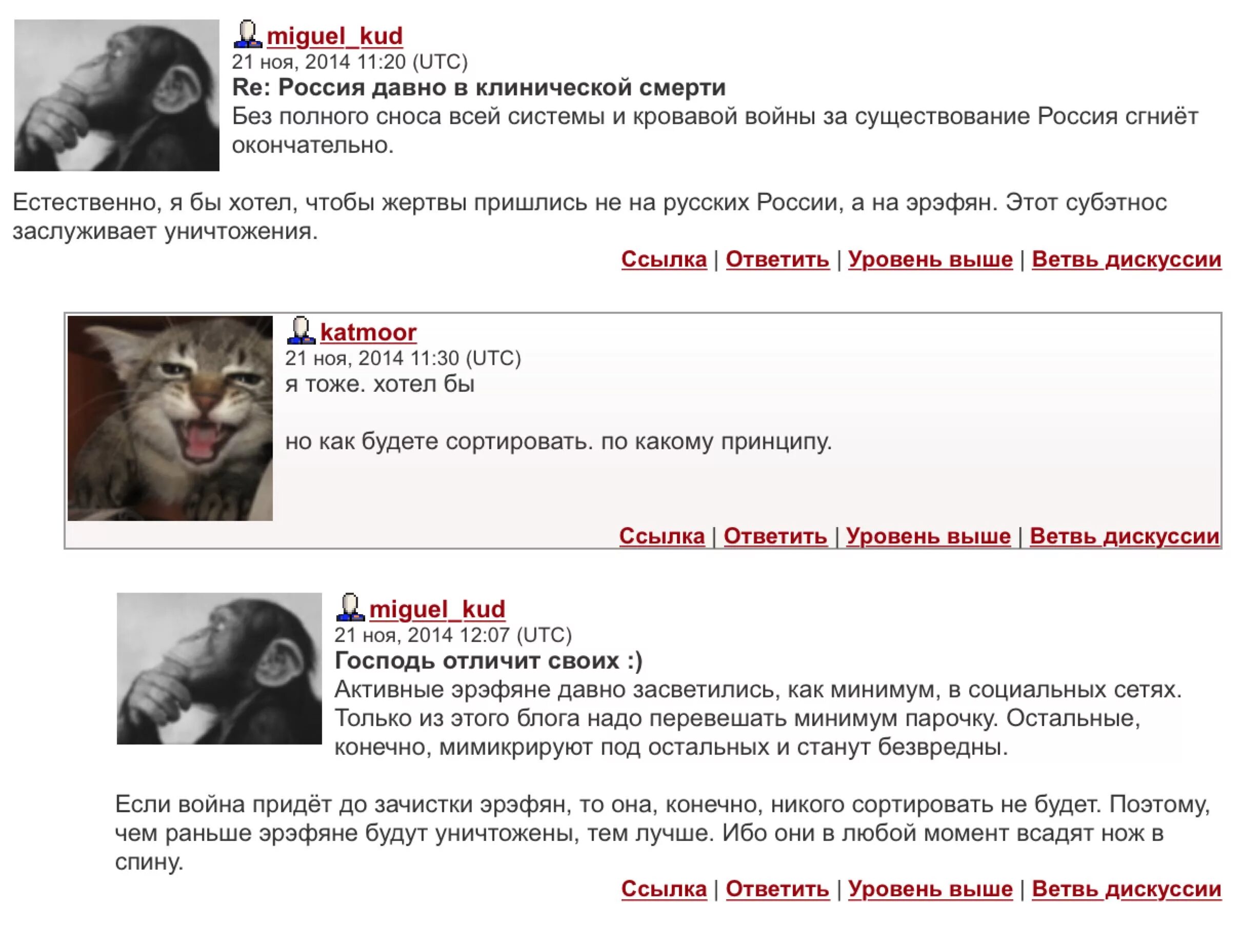 мигель куд жж