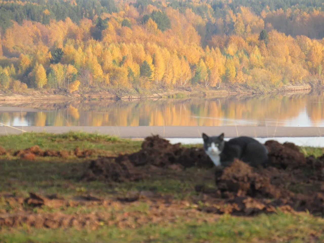 Гайны Пермский край. Посёлок Гайны Пермский край. Кама Гайны. Октябрь Пермский.