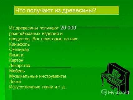 Тип энергии получаемый из древесины