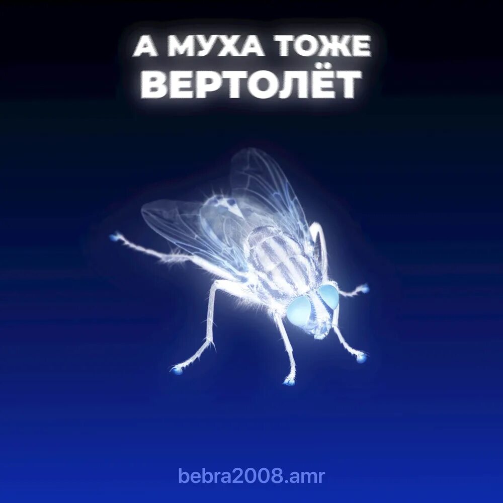 А Муха тоже вертолет. А Муха тоже вертолет обложка. А Муха тоже вертолет текст. Муха вертолет. Музыка тоже вертолет