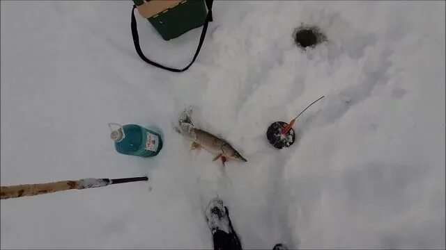 ловля леща зимой. ловля подуста зимой на безмотылку. зимняя рыбалка. рыбалка на леща зимой.