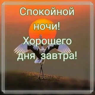Новые спокойной ночи до завтра