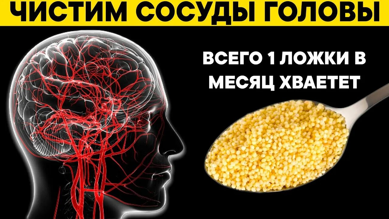 Что чистит мозг. Чистка сосудов головного. Очищение сосудов головного мозга.