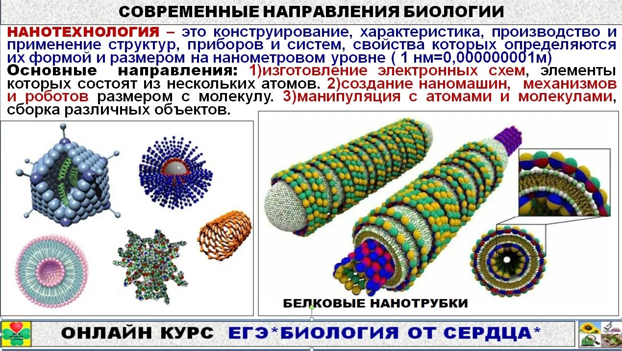 Методы биологии биология ЕГЭ. Биология от сердца ЕГЭ. Методы исследования в биологии ЕГЭ. Методы биологии ЕГЭ 2023.