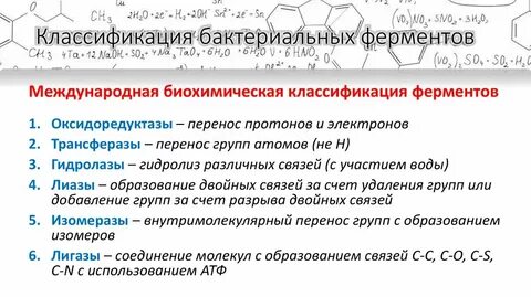 Идентификация бактерий по ферментативной активности