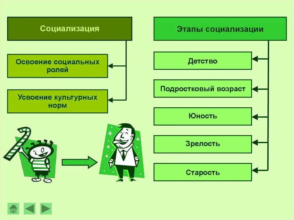 Фазы социализации Обществознание 8 класс. Этапы социализации. Этапы социализации личности. Освоение социальных ролей.