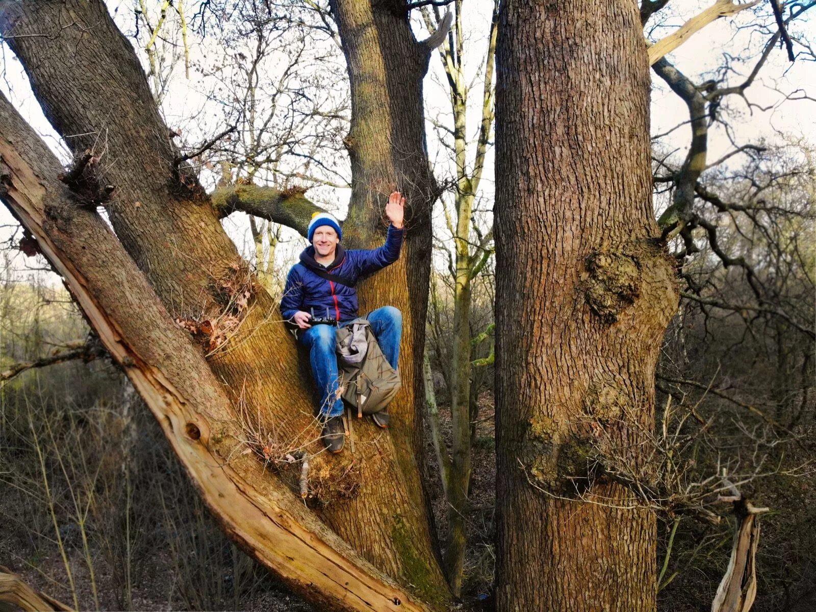 Climbing Trees. Climb on the Tree. Beetle Climbing up a Tree. Фото Climb Trees. Can you climb a tree