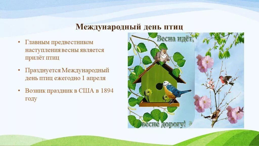 День птиц в детском саду презентация. День птиц. День птиц презентация. Международный день птиц. Проект день птиц.