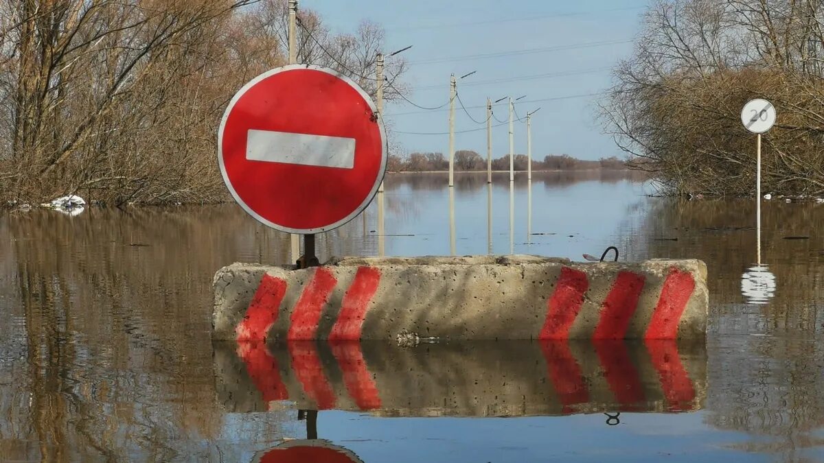 Уровень оки на сегодняшний день. Половодье в Рязани 2023. Муром разлив Оки. Подъем воды в Оке. Половодье в Рязанской области.