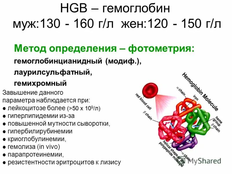 Гемоглобин. Гемоглобин HGB. Исследование крови на гемоглобин. Уровень гемоглобина в крови.