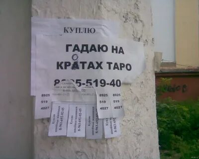 Нет надобности гадать почему она названа