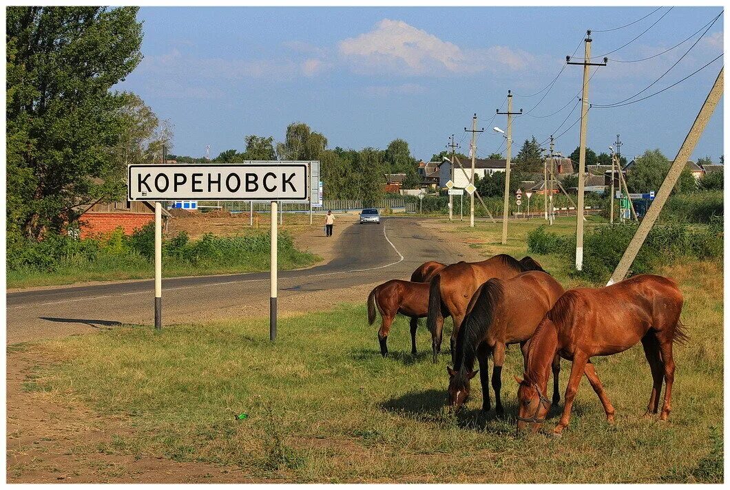 Ст кореновск. Кореновский район Краснодарского края. Кореновск Краснодарский край. Краснодарский край Кореновский район г Кореновск. Станица Кореновская Краснодарский край.