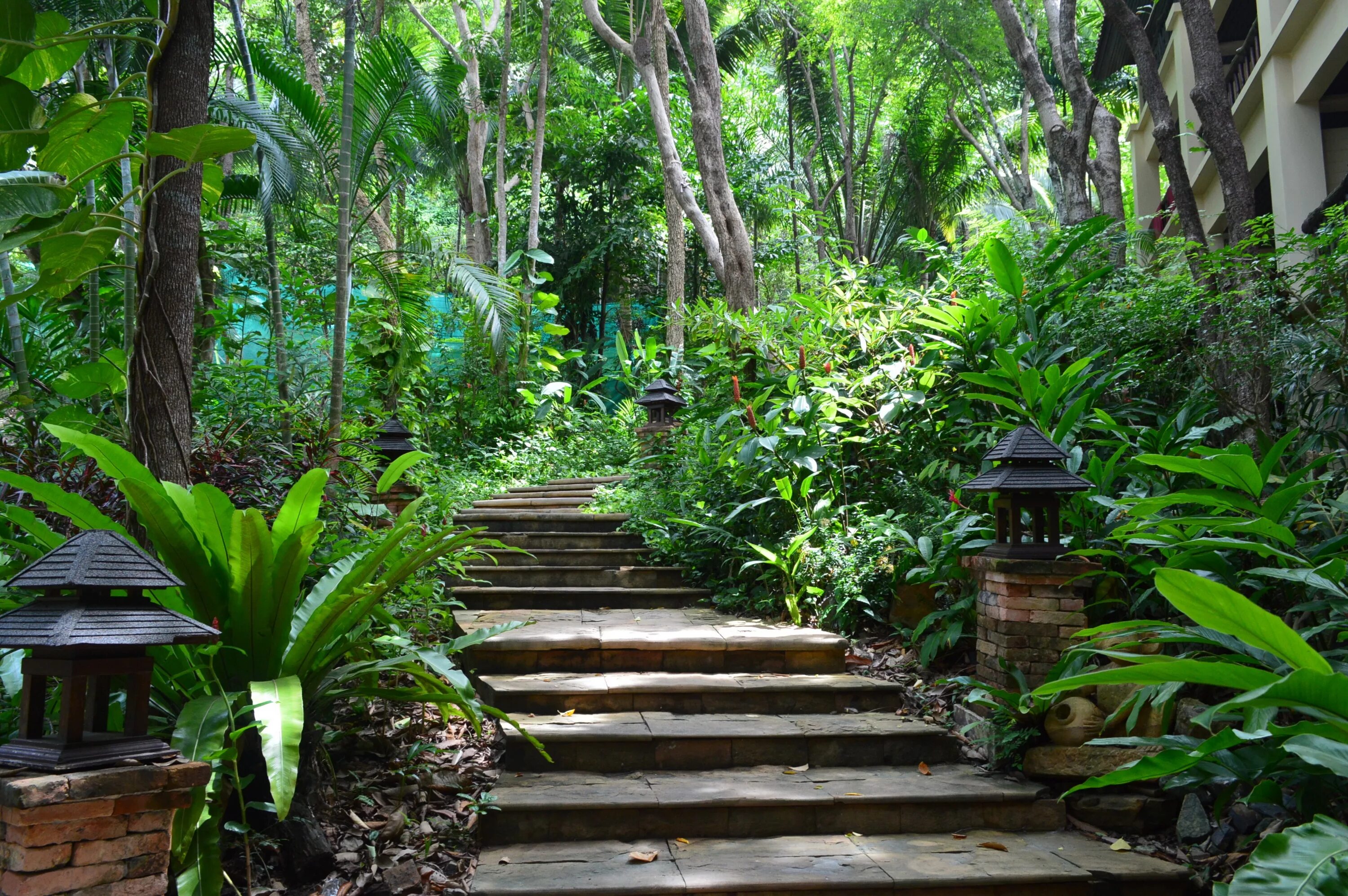 Тенерифе Тропическая растительность. Ботанический сад орман. Тропический лес. Джунгли.