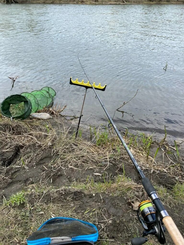 Река назия. Лесная речка рыбалка. Вазузское водохранилище. Отзывы о рыбалке на реке. Рыбак фото.