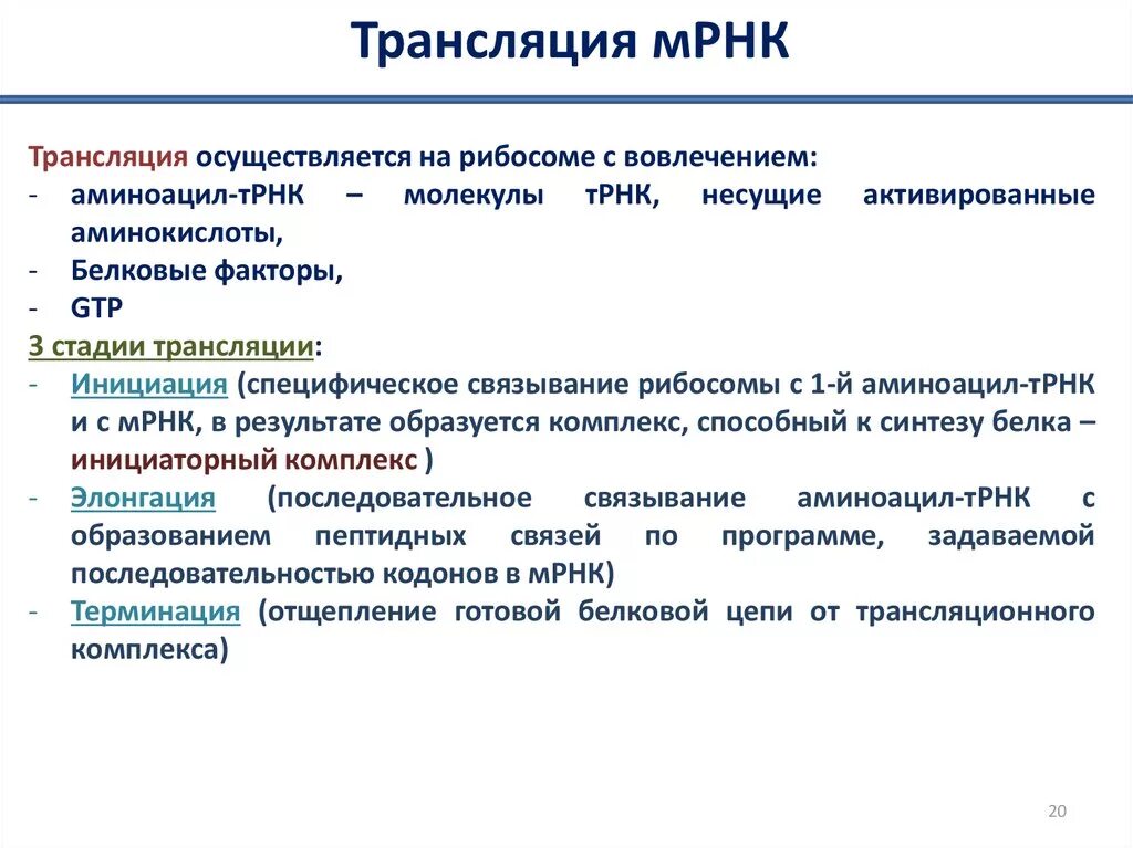 Первый этап трансляции. Трансляция МРНК. Белковые факторы трансляции. Трансляция осуществляется с участием. Осуществляет трансляцию.