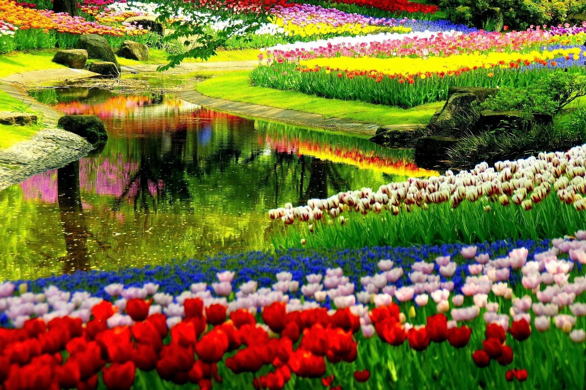 Природа и цветы. Весенний сад (Spring Topiary Garden). Яркие весенние пейзажи. Красивые цветы. Пейзаж из цветов.
