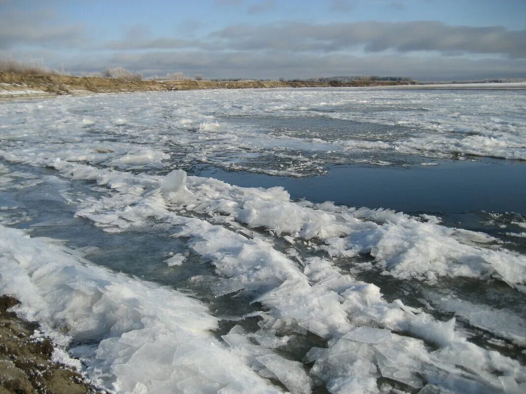вода вышла на пойму. ледоход р емца 2022. паводок в архангельской области. долина пойма и русло реки. наводнение в тюменской области.