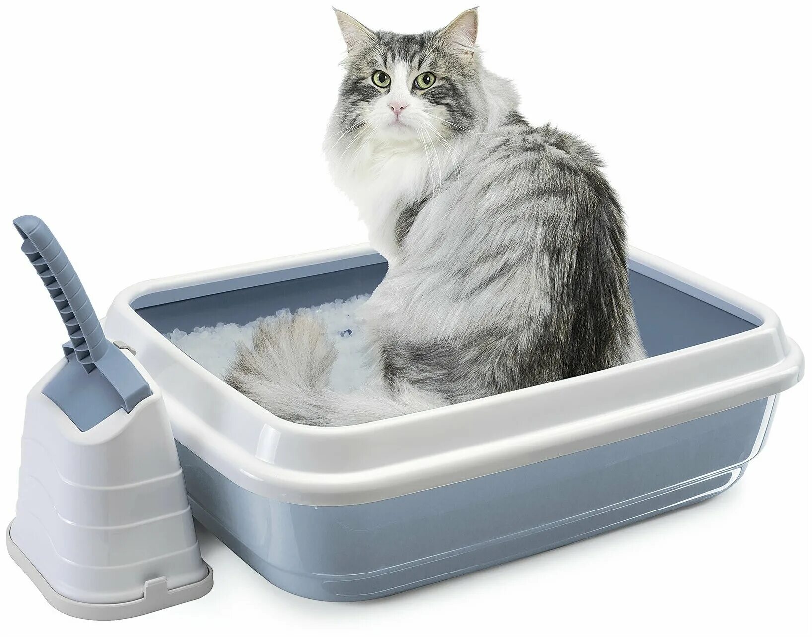 Туалет для кошек. Туалет-лоток для кошек IMAC Duo 59х40х28 см. IMAC туалет-лоток для кошек Duo с совочком на подставке 59х40х28h см, голубой. Туалет-лоток для кошек MPS Gemini 42х28х9 см. Лоток для кошек Savic 59на 40.