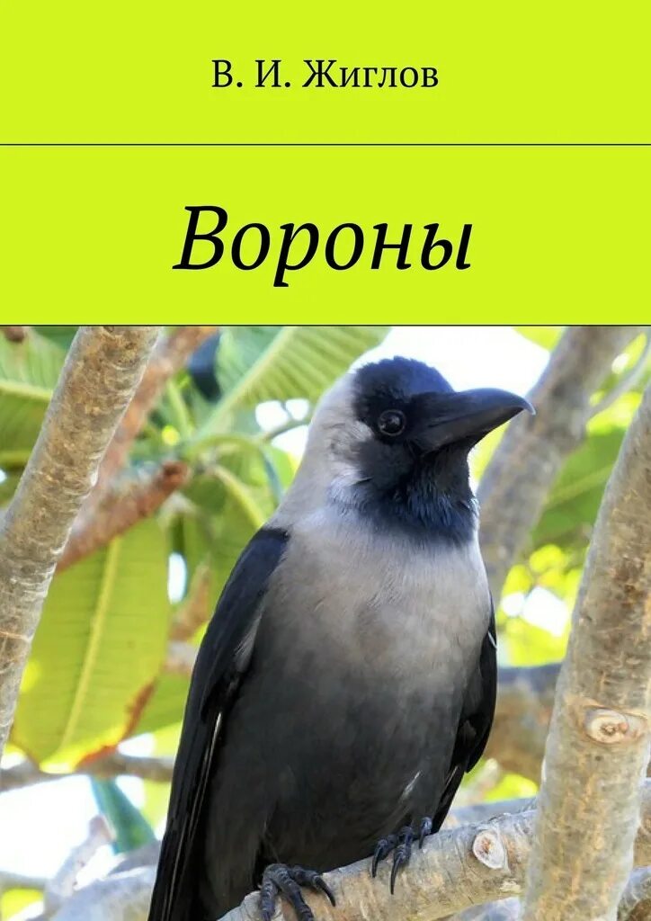 Книга про ворона. Книга вороны. Книга про ворону. Ворон книга. Ворона с книгой.