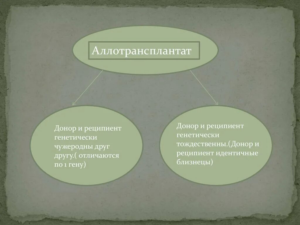 Реципиент и донор отличия. Аллотрансплантат классификация. Понятие аллотрансплантат. Аллотрансплантаты примеры.