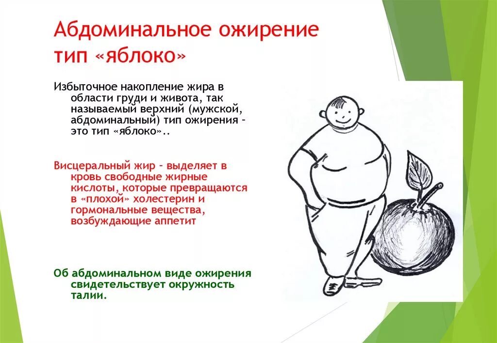 Абдоминальный и висцеральный жир. Как избавиться от абдоминального жира. Типы живота. Нижний перекрестный синдром упражнения. Как избавиться от абдоминального жира.