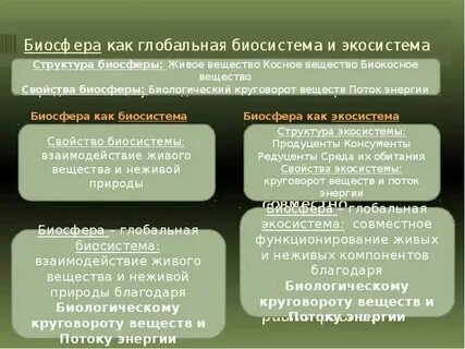 Биологические системы и экология