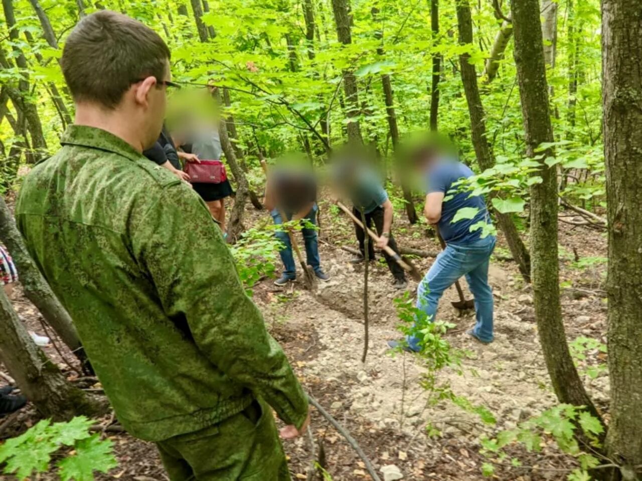 Убивают людей в лесу. Убивают людей в лесу