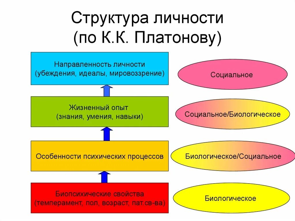 Психологическая модель личности. Структура личности по Платонову. Подструктуры личности по Платонову. Платонов структура личности. Структура личности Платонов схема.