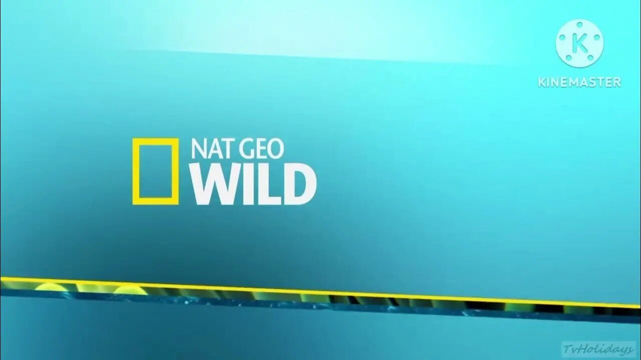 Логотип канала Nat geo Wild. Nat geo Wild реклама. Nat geo Wild Телеканал заставка.