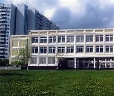 Школа 63 отзывы