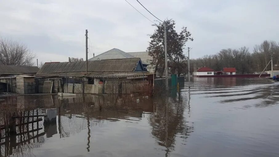 Исследовать ранее затопленную область. Паводок 2025 волгоград. давыдовка волгоградская область паводок. подтопление. урюпинск наводнение.